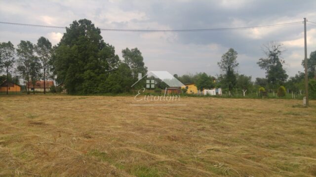 WhatsApp Image 2026-01-27 at 12.24.54