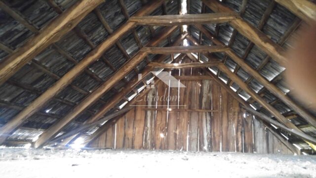 WhatsApp Image 2026-01-27 at 12.24.58(2)